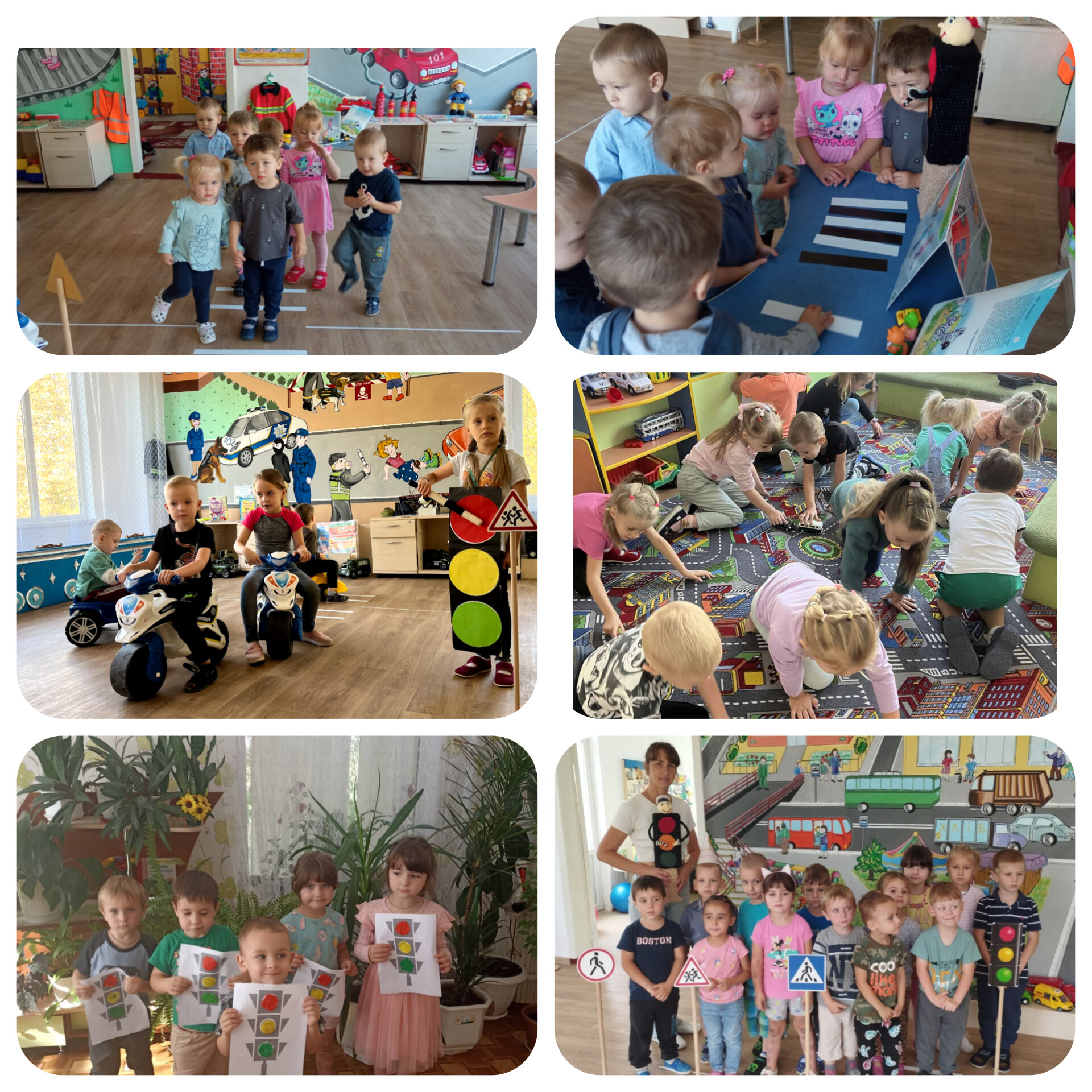 InShot_20241001_103309117